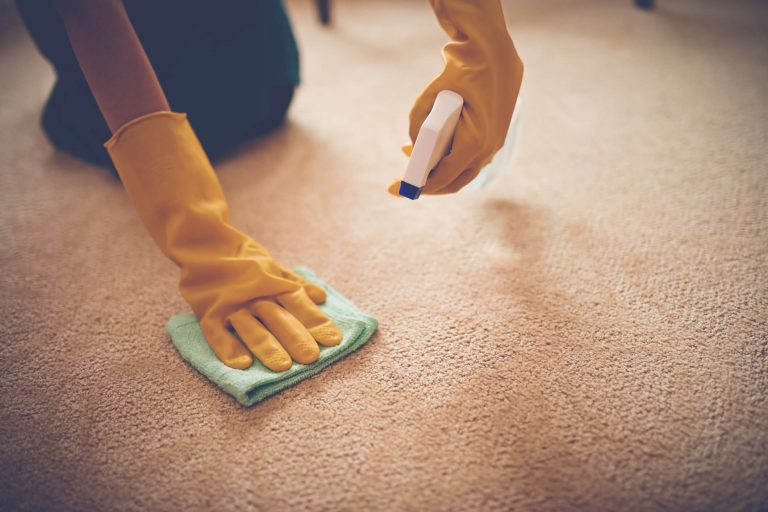 Dependable Carpet Cleaning Service in Anchorage, AK